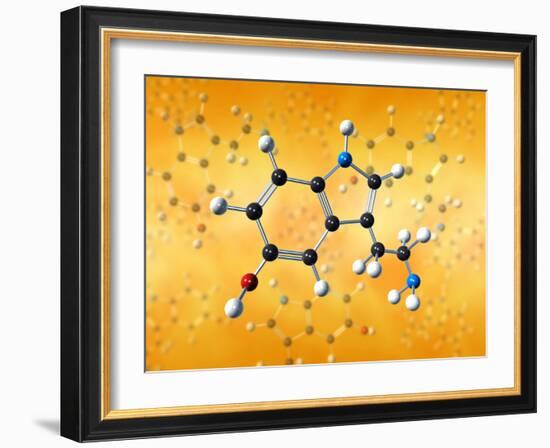 Serotonin Neurotransmitter Molecule-David Mack-Framed Photographic Print