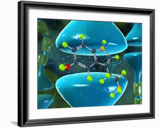 Serotonin Neurotransmitter Molecule-David Mack-Framed Photographic Print