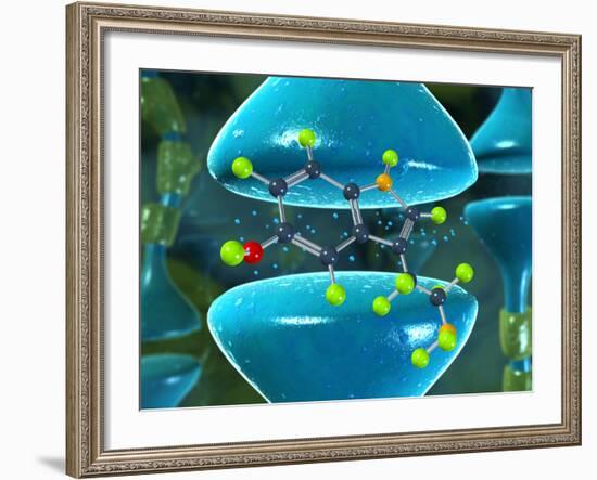 Serotonin Neurotransmitter Molecule-David Mack-Framed Photographic Print