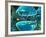 Serotonin Neurotransmitter Molecule-David Mack-Framed Photographic Print