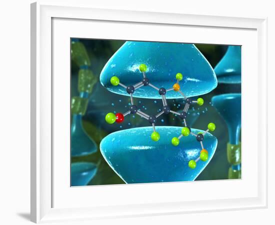 Serotonin Neurotransmitter Molecule-David Mack-Framed Photographic Print