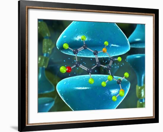 Serotonin Neurotransmitter Molecule-David Mack-Framed Photographic Print