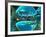 Serotonin Neurotransmitter Molecule-David Mack-Framed Photographic Print