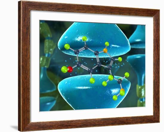 Serotonin Neurotransmitter Molecule-David Mack-Framed Photographic Print