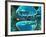 Serotonin Neurotransmitter Molecule-David Mack-Framed Photographic Print