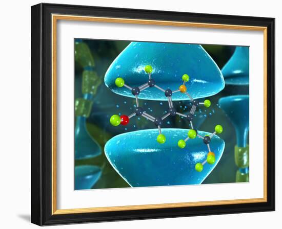 Serotonin Neurotransmitter Molecule-David Mack-Framed Photographic Print