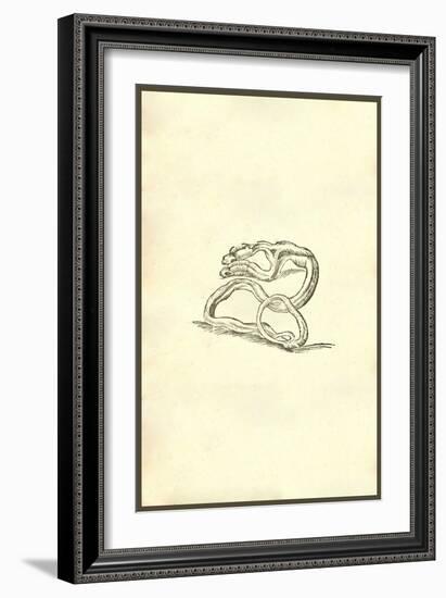 Serpent Dicephalos-Ulisse Aldrovandi-Framed Art Print