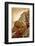 Serpent Head and Long Stairway on Pyramid of Kukulcan-Thom Lang-Framed Photographic Print