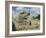 Serpent's Head at Bottom of Great Pyramid, Chichen Itza, Mayan Site, Mexico, Central America-Christopher Rennie-Framed Photographic Print