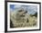 Serpent's Head at Bottom of Great Pyramid, Chichen Itza, Mayan Site, Mexico, Central America-Christopher Rennie-Framed Photographic Print