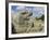 Serpent's Head at Bottom of Great Pyramid, Chichen Itza, Mayan Site, Mexico, Central America-Christopher Rennie-Framed Photographic Print