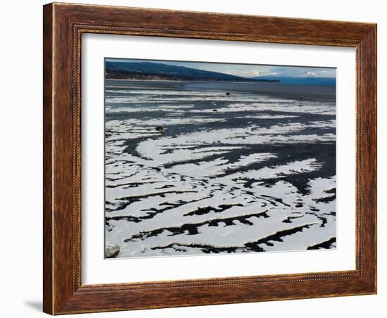 Serpentine Ice on Beach-Latitude 59 LLP-Framed Photographic Print