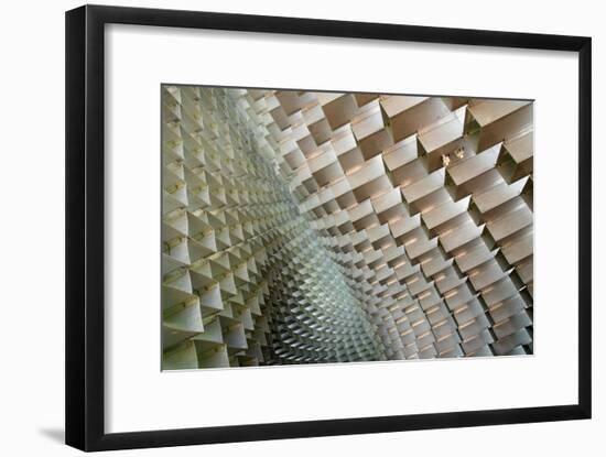 Serpentine-Linda Wride-Framed Giclee Print