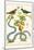 Serpents and Birds-Albertus Seba-Mounted Art Print