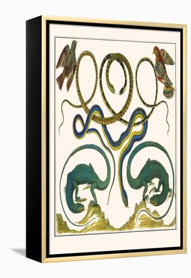 Serpents, Lizards and Birds-Albertus Seba-Framed Stretched Canvas