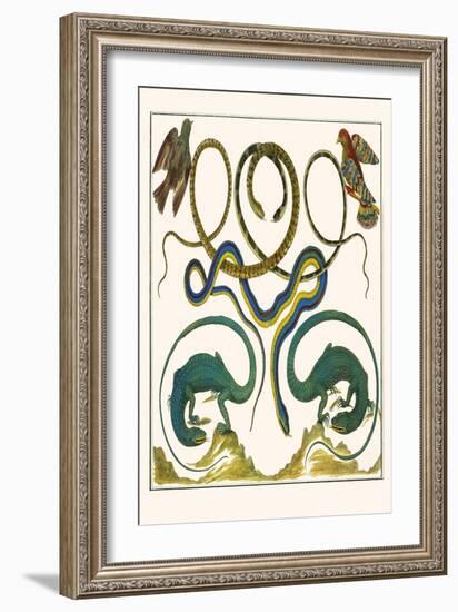 Serpents, Lizards and Birds-Albertus Seba-Framed Art Print
