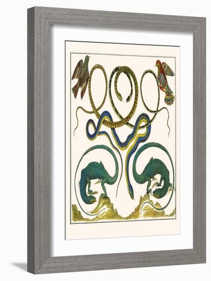 Serpents, Lizards and Birds-Albertus Seba-Framed Art Print