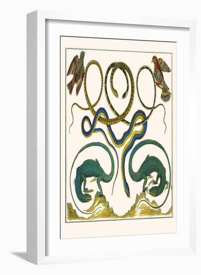 Serpents, Lizards and Birds-Albertus Seba-Framed Art Print