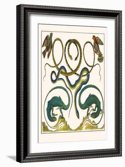 Serpents, Lizards and Birds-Albertus Seba-Framed Art Print