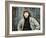 Serpico, Al Pacino, 1973-null-Framed Photo