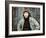 Serpico, Al Pacino, 1973-null-Framed Photo