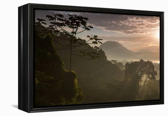 Serra Do Mar Forest in Sao Paulo State in Brazil-Alex Saberi-Framed Premier Image Canvas