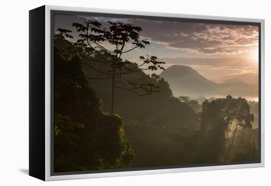 Serra Do Mar Forest in Sao Paulo State in Brazil-Alex Saberi-Framed Premier Image Canvas