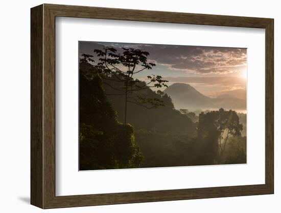 Serra Do Mar Forest in Sao Paulo State in Brazil-Alex Saberi-Framed Photographic Print