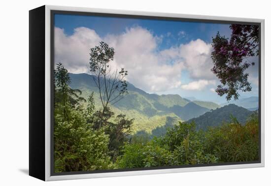 Serra Do Mar Jungle in Sao Paulo State-Alex Saberi-Framed Premier Image Canvas