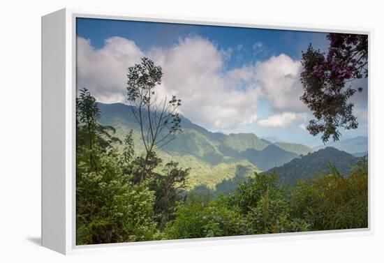 Serra Do Mar Jungle in Sao Paulo State-Alex Saberi-Framed Premier Image Canvas