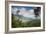 Serra Do Mar Jungle in Sao Paulo State-Alex Saberi-Framed Photographic Print