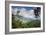 Serra Do Mar Jungle in Sao Paulo State-Alex Saberi-Framed Photographic Print