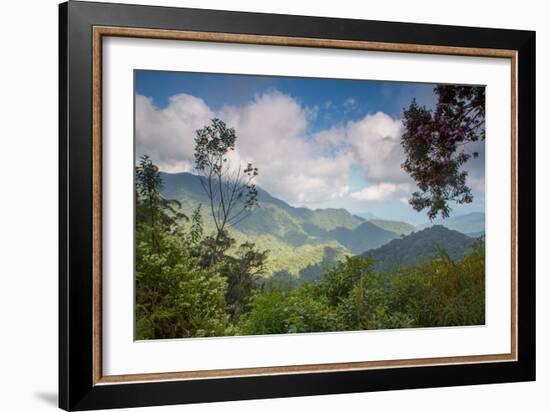 Serra Do Mar Jungle in Sao Paulo State-Alex Saberi-Framed Photographic Print