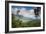 Serra Do Mar Jungle in Sao Paulo State-Alex Saberi-Framed Photographic Print