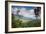 Serra Do Mar Jungle in Sao Paulo State-Alex Saberi-Framed Photographic Print