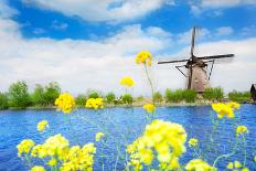 Old Windmill in Kinderdijk-Elshout Netherlands-SerrNovik-Photographic Print