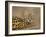 Serval Cub on Termite Mound, Masai Mara National Reserve, Kenya, East Africa, Africa-James Hager-Framed Photographic Print