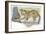 Serval Felis Serval Catching Reptile-null-Framed Giclee Print