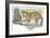 Serval Felis Serval Catching Reptile-null-Framed Giclee Print