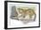 Serval Felis Serval Catching Reptile-null-Framed Giclee Print