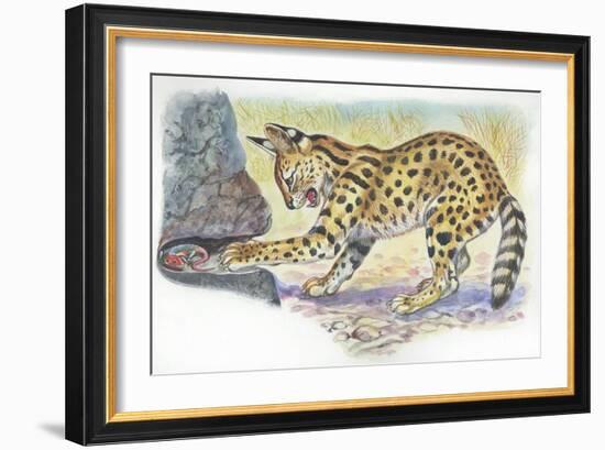 Serval Felis Serval Catching Reptile-null-Framed Giclee Print