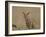 Serval (Felis Serval) Cub on Termite Mound, Masai Mara National Reserve, Kenya, East Africa-James Hager-Framed Photographic Print