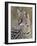 Serval (Felis Serval), Masai Mara National Reserve, Kenya, East Africa, Africa-James Hager-Framed Photographic Print