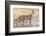 Serval Hunting-Jeffrey C. Sink-Framed Photographic Print