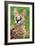 Serval-Lantern Press-Framed Art Print