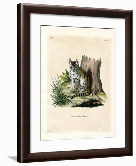 Serval-null-Framed Giclee Print