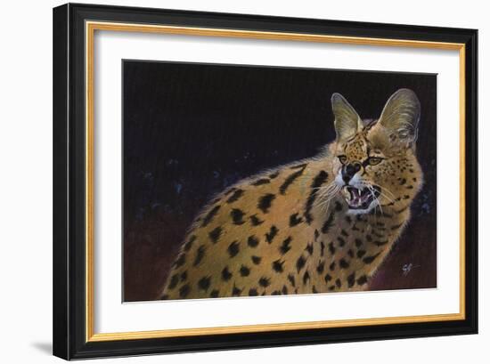 Servalli-Durwood Coffey-Framed Giclee Print