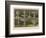 Service in Cut Glass by Mr Alderman Copeland, London-null-Framed Giclee Print