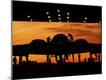 Photographic Print