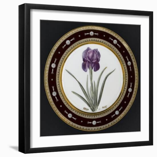 Service to the Empress Josephine Liacées: Iris Susa-null-Framed Giclee Print